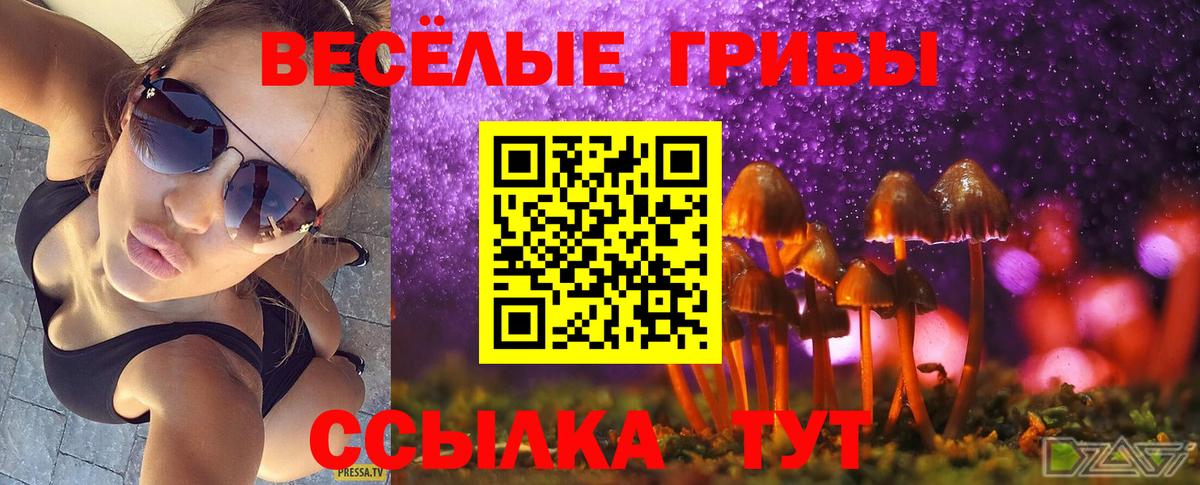 Псилоцибиновые грибы ЛСД Выкса