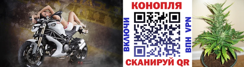 Бошки Шишки OG Kush где найти наркотики Выкса